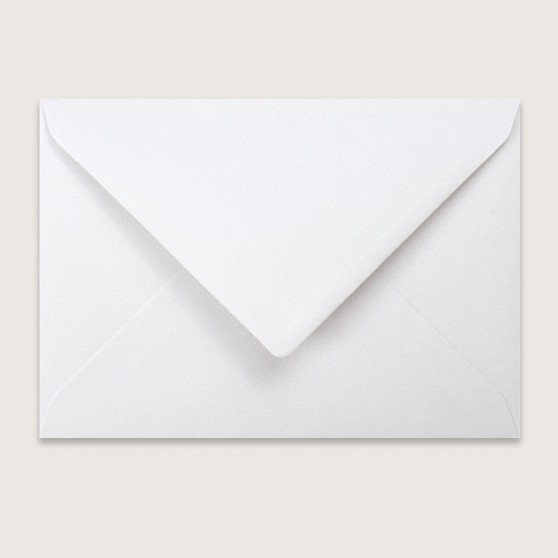 Blank Standard White V Flap Envelopes
