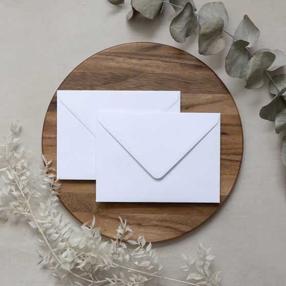 Blank Standard White V Flap Envelopes