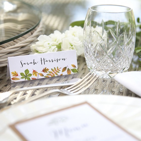 'Dorothy' Place Cards
