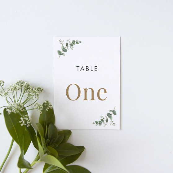 'Campagna Eucalyptus CP01' Table Name/Number