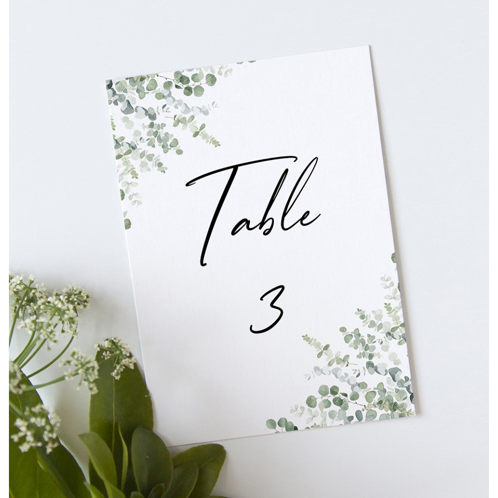 'Classic Eucalyptus CE11' Table Name/Number