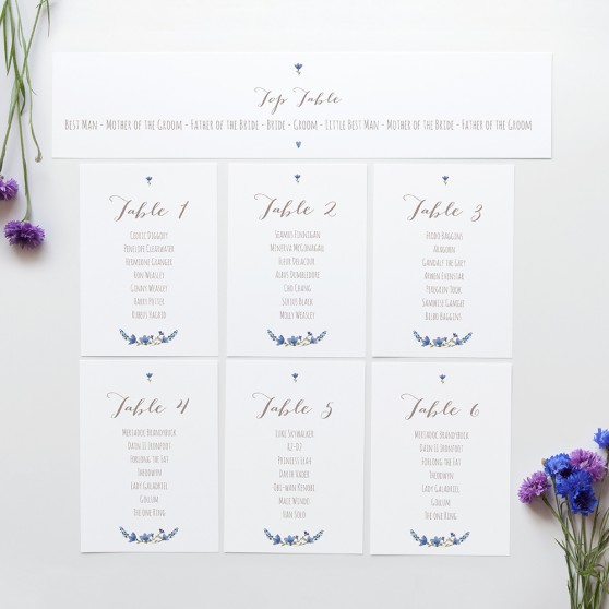 'Blue Floral Watercolour' Table Plan Card Sample