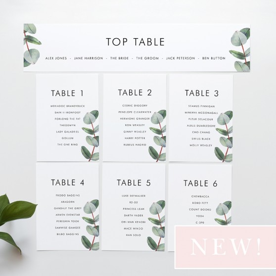 'Campagna Eucalyptus CP02' Table Plan Card Sample