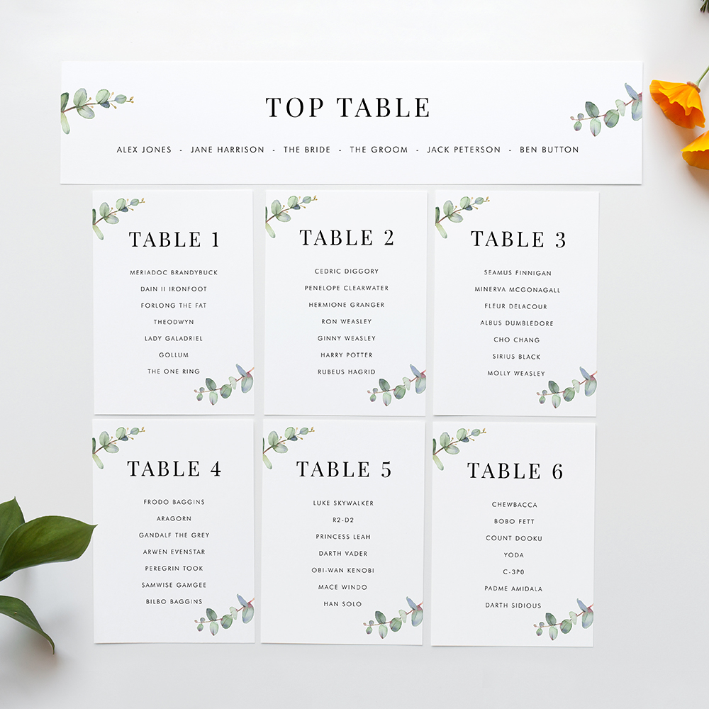 'Campagna Eucalyptus CP03’ Table Plan Cards