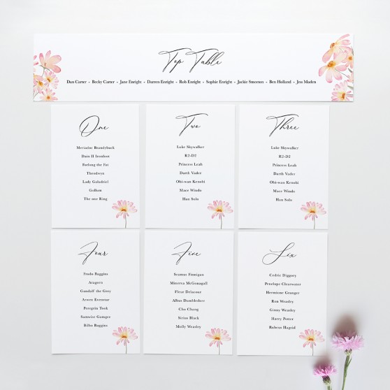 'Daisy Pink' Table Plan Cards